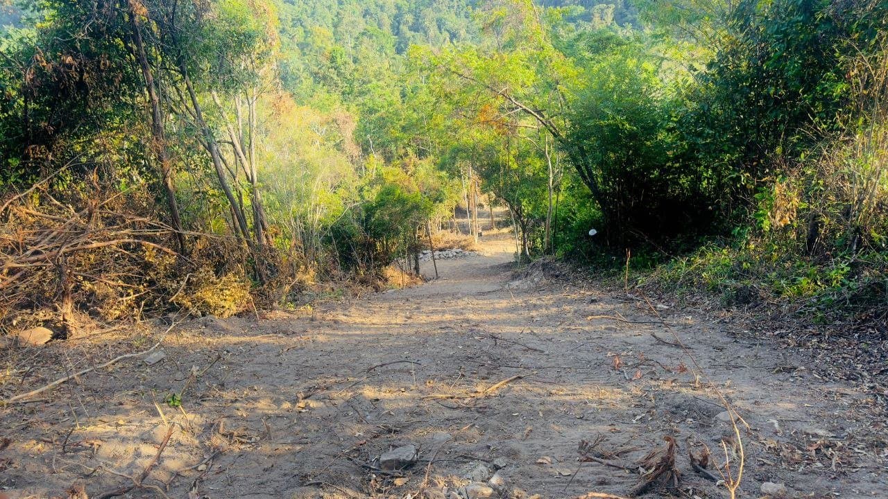 12 Rai (19,200 sqm) Mixed-Terrain Land with Sea Views in Nathon — Twelve rai in two registers