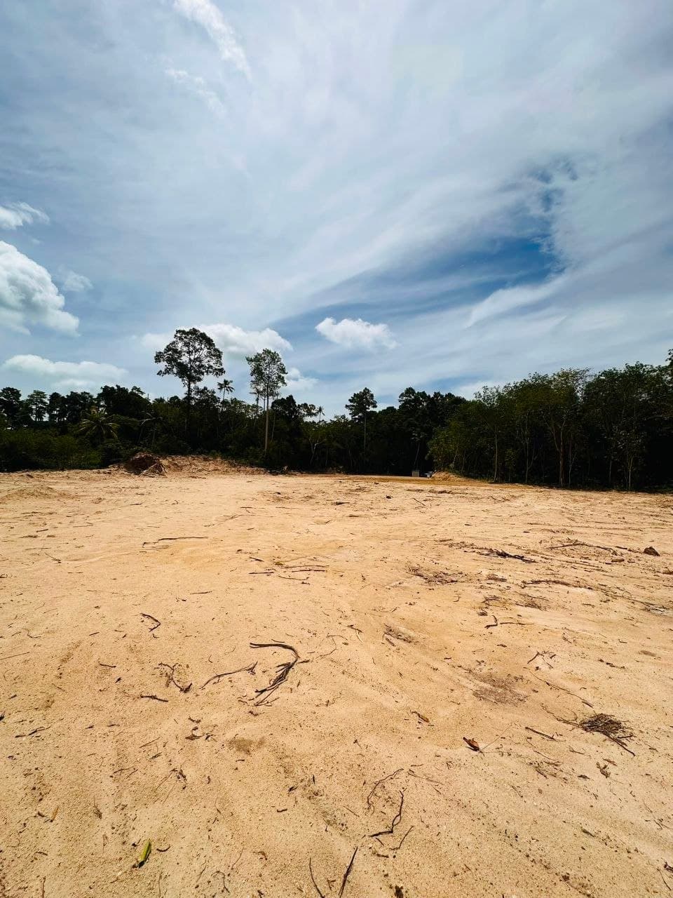 Prime Flat Land for Long-Term Lease | Mae Nam, Koh Samui — Power and road at the boundary