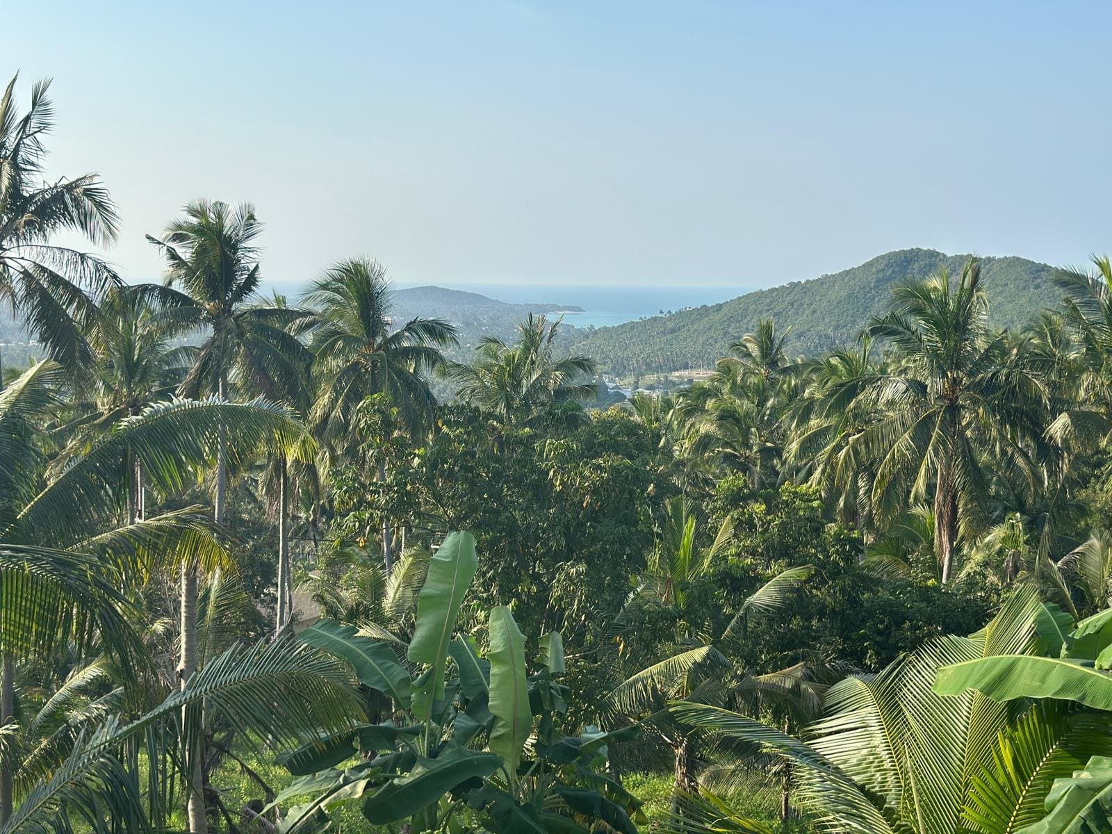 Beautiful 6 rai plot of land for rent at a special price of only 18,000 baht per rai per month. — Sea view from the upper edge