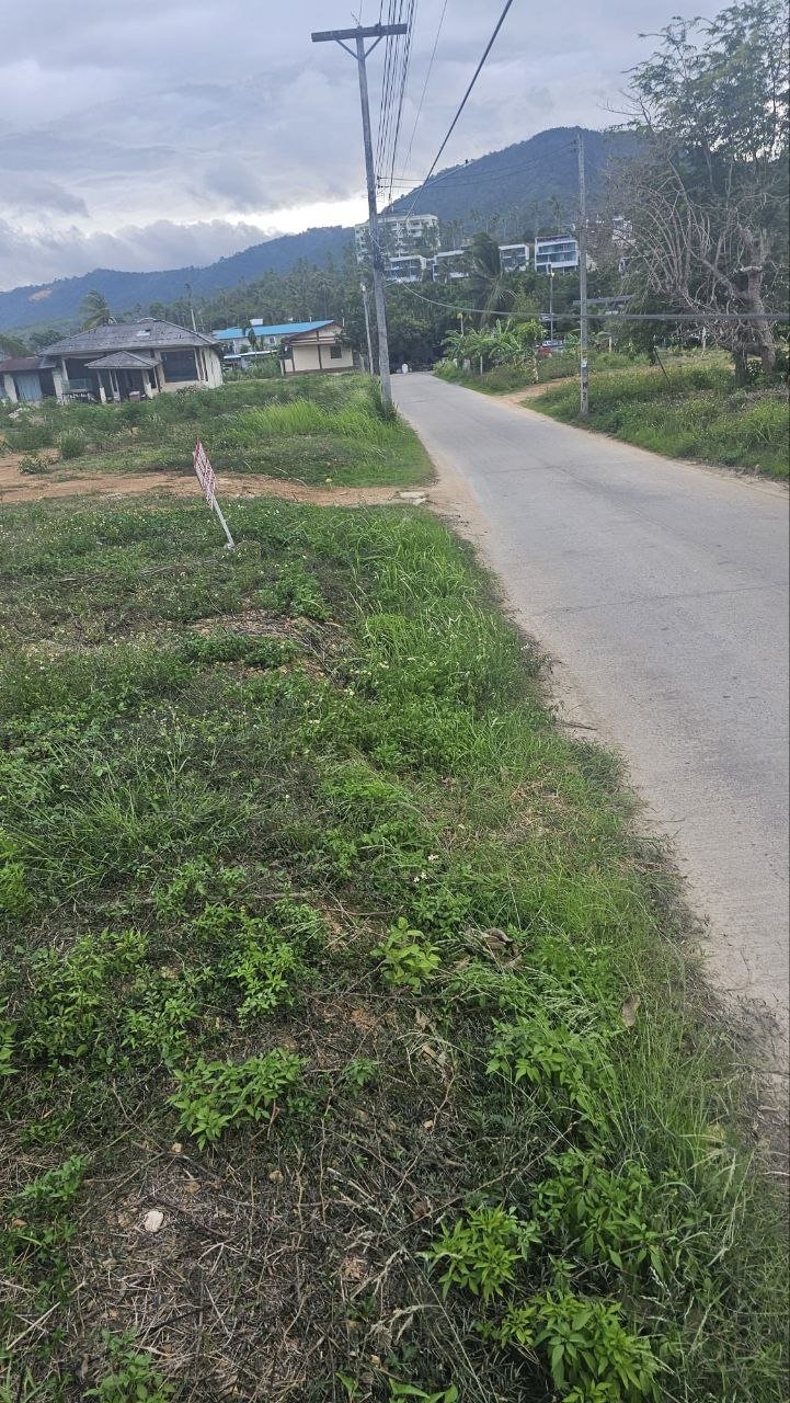 Long-Term Land Lease in Mae Nam | 2 Rai 3 Ngan — A yearly rate on a long lease