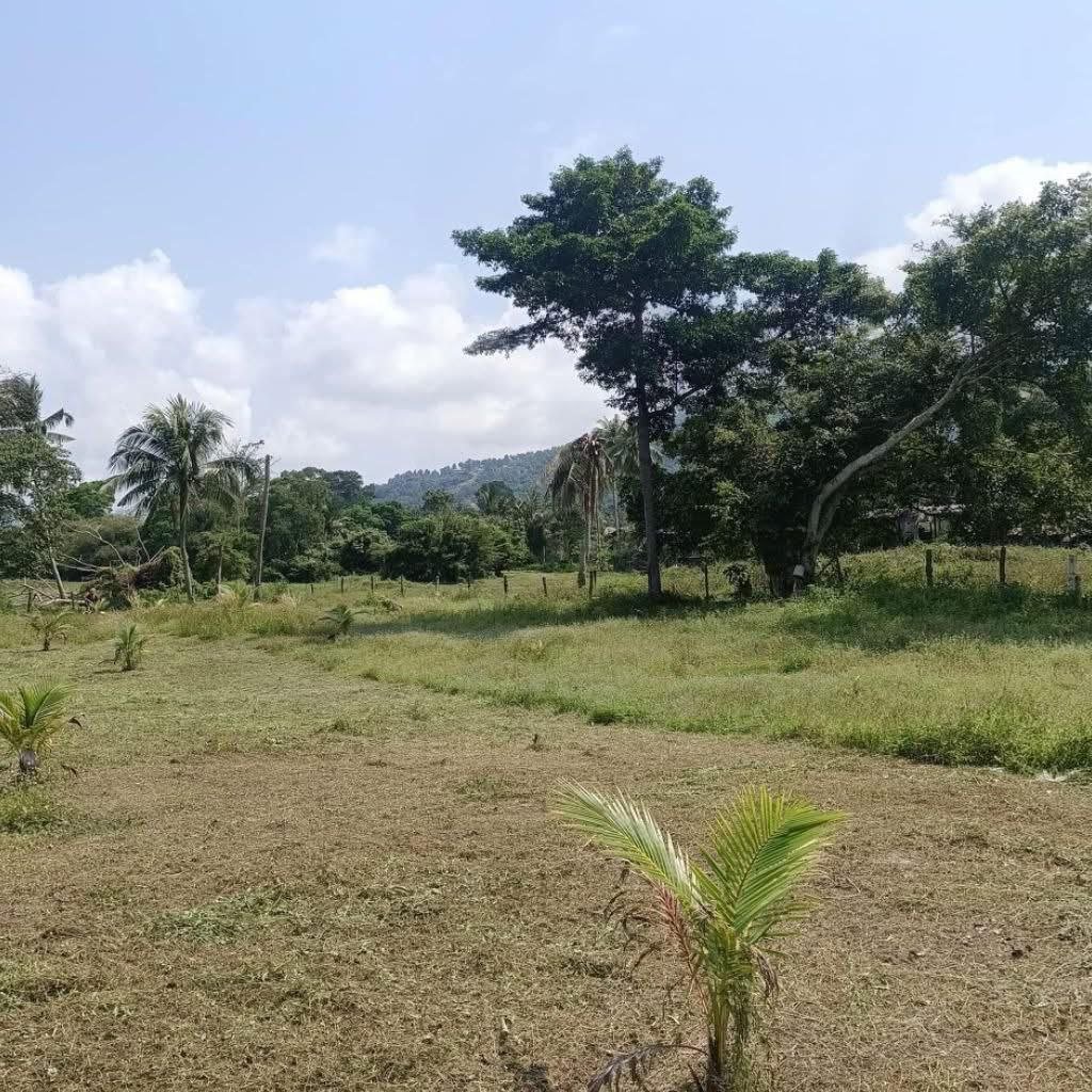 2.5 Rai Prime Land for Sale in Taling Ngam — Room for an estate plan