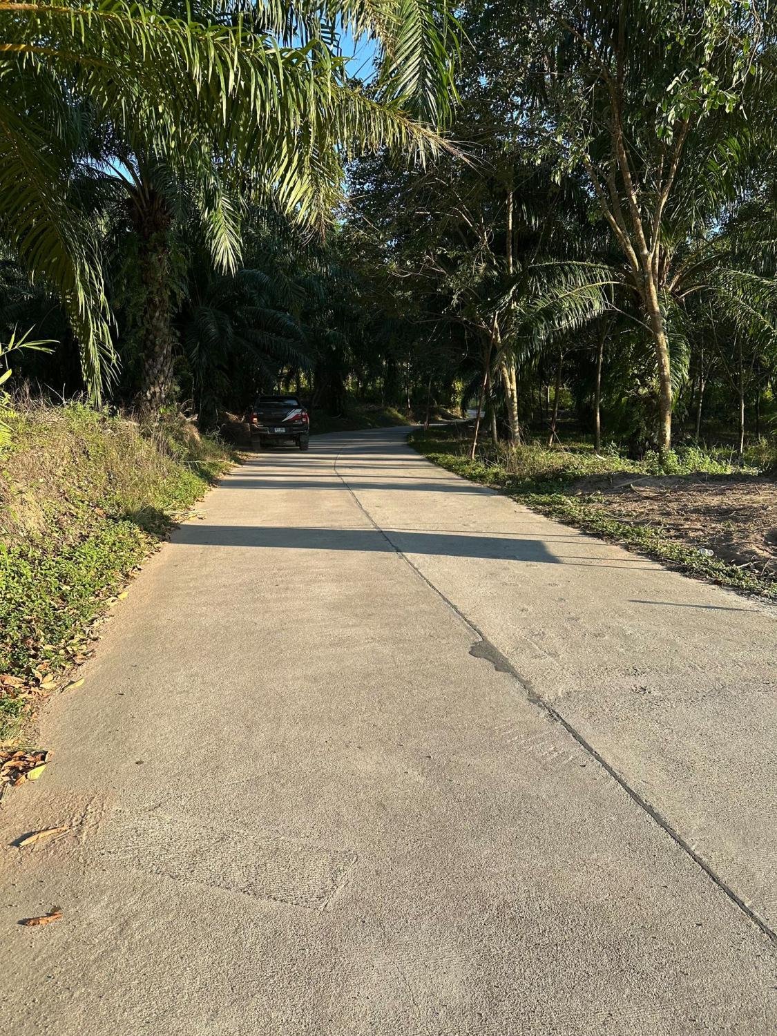 Prime Land – Mae Nam Soi 1 | Behind Water Park — A public road up to the edge