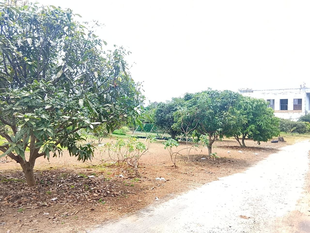 Chaweng Lake View 4.1 Rai Land for Rent — Airport and marina within reach