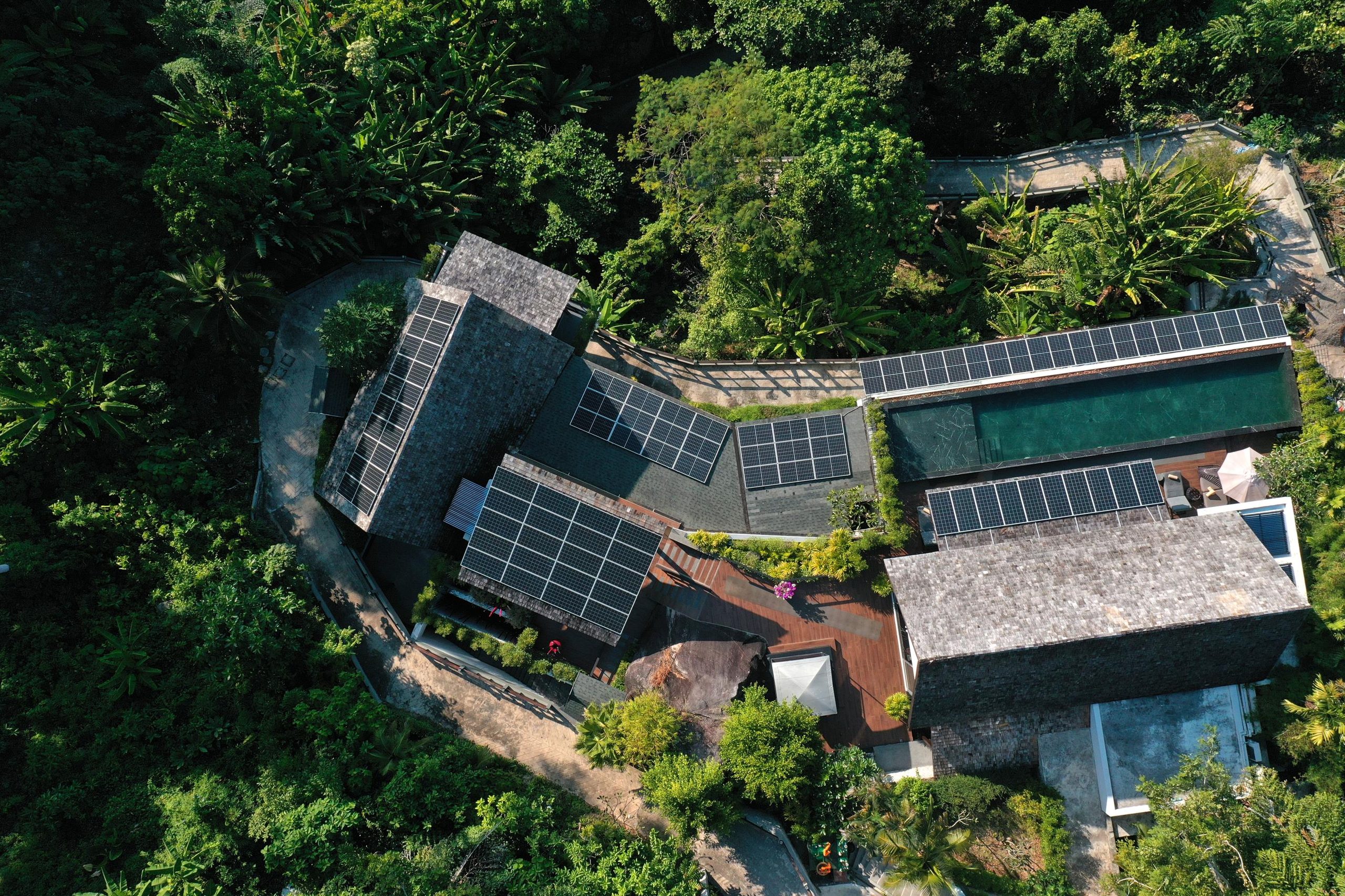 Sea-View 5-Bedroom Villa — Kamala — The pool and the jungle around it