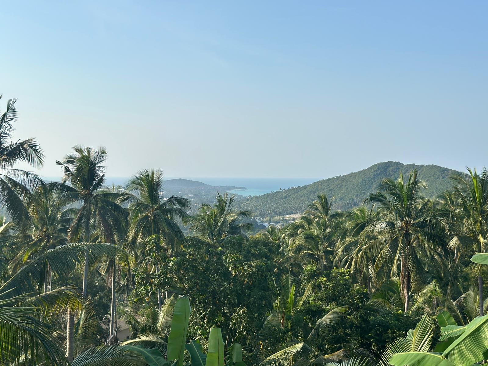 Beautiful 6 rai plot of land for rent at a special price of only 18,000 baht per rai per month. — A thirty-year lease at the Land Office